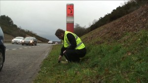 still roadside